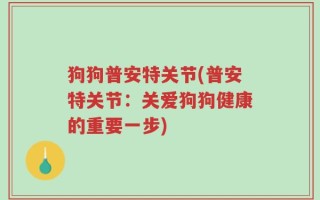 狗狗普安特关节(普安特关节：关爱狗狗健康的重要一步)