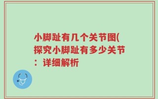 小脚趾有几个关节图(探究小脚趾有多少关节：详细解析