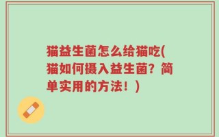 猫益生菌怎么给猫吃(猫如何摄入益生菌？简单实用的方法！)
