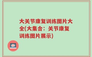 大关节康复训练图片大全(大集合：关节康复训练图片展示)
