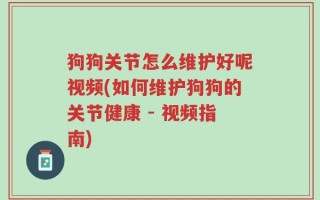 狗狗关节怎么维护好呢视频(如何维护狗狗的关节健康 - 视频指南)