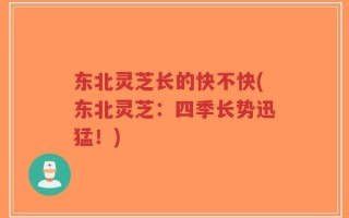 东北灵芝长的快不快(东北灵芝：四季长势迅猛！)
