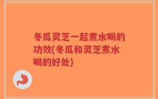 冬瓜灵芝一起煮水喝的功效(冬瓜和灵芝煮水喝的好处)