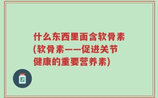 什么东西里面含软骨素(软骨素——促进关节健康的重要营养素)