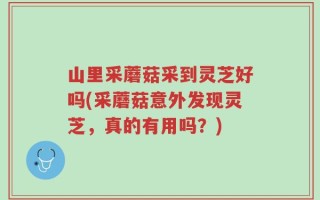 山里采蘑菇采到灵芝好吗(采蘑菇意外发现灵芝，真的有用吗？)