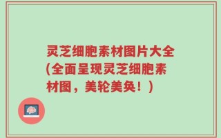 灵芝细胞素材图片大全(全面呈现灵芝细胞素材图，美轮美奂！)