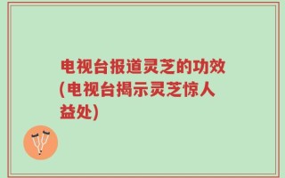 电视台报道灵芝的功效(电视台揭示灵芝惊人益处)