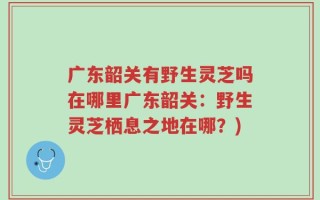 广东韶关有野生灵芝吗在哪里广东韶关：野生灵芝栖息之地在哪？)
