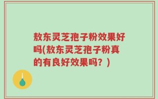 敖东灵芝孢子粉效果好吗(敖东灵芝孢子粉真的有良好效果吗？)