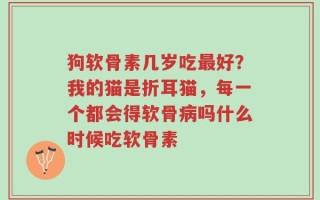 狗软骨素几岁吃最好？我的猫是折耳猫，每一个都会得软骨病吗什么时候吃软骨素