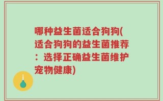 哪种益生菌适合狗狗(适合狗狗的益生菌推荐：选择正确益生菌维护宠物健康)