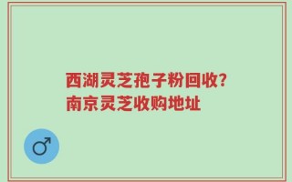 西湖灵芝孢子粉回收？南京灵芝收购地址
