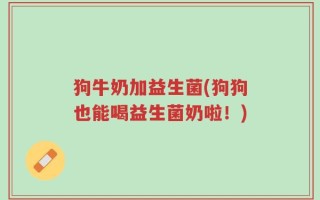 狗牛奶加益生菌(狗狗也能喝益生菌奶啦！)