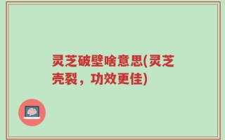 灵芝破壁啥意思(灵芝壳裂，功效更佳)