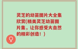 灵芝的幼苗图片大全集欣赏(精美灵芝幼苗图片集，让你感受大自然的精彩创造！)