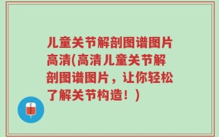 儿童关节解剖图谱图片高清(高清儿童关节解剖图谱图片，让你轻松了解关节构造！)