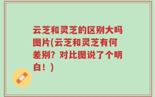 云芝和灵芝的区别大吗图片(云芝和灵芝有何差别？对比图说了个明白！)