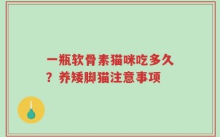 一瓶软骨素猫咪吃多久？养矮脚猫注意事项