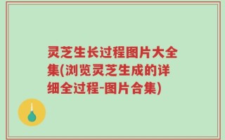 灵芝生长过程图片大全集(浏览灵芝生成的详细全过程-图片合集)