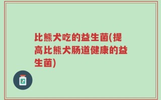 比熊犬吃的益生菌(提高比熊犬肠道健康的益生菌)