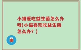 小猫爱吃益生菌怎么办呀(小猫喜欢吃益生菌怎么办？)