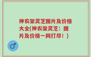 神农架灵芝图片及价格大全(神农架灵芝：图片及价格一网打尽！)