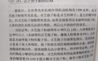 肺癌晚期吃灵芝孢子粉有什么用？对放化疗有帮助吗？