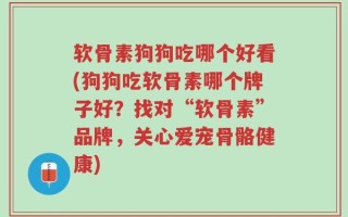 软骨素狗狗吃哪个好看(狗狗吃软骨素哪个牌子好？找对“软骨素”品牌，关心爱宠骨骼健康)