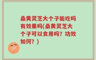 桑黄灵芝大个子能吃吗有效果吗(桑黄灵芝大个子可以食用吗？功效如何？)