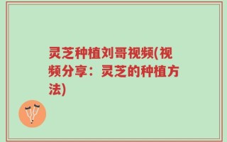 灵芝种植刘哥视频(视频分享：灵芝的种植方法)