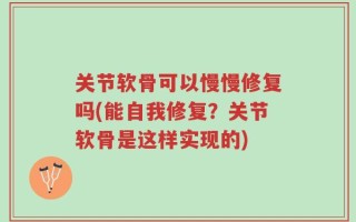 关节软骨可以慢慢修复吗(能自我修复？关节软骨是这样实现的)