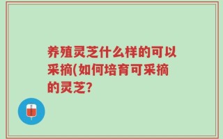 养殖灵芝什么样的可以采摘(如何培育可采摘的灵芝？