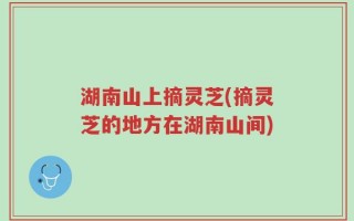 湖南山上摘灵芝(摘灵芝的地方在湖南山间)
