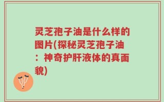 灵芝孢子油是什么样的图片(探秘灵芝孢子油：神奇护肝液体的真面貌)