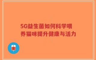 5G益生菌如何科学喂养猫咪提升健康与活力