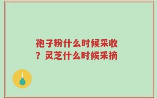 孢子粉什么时候采收 ？灵芝什么时候采摘