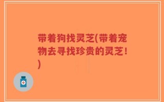 带着狗找灵芝(带着宠物去寻找珍贵的灵芝！)