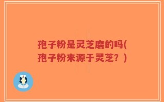 孢子粉是灵芝磨的吗(孢子粉来源于灵芝？)