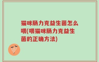 猫咪肠力克益生菌怎么喂(喂猫咪肠力克益生菌的正确方法)