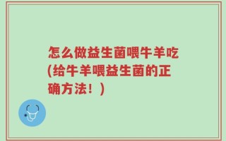 怎么做益生菌喂牛羊吃(给牛羊喂益生菌的正确方法！)