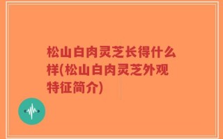 松山白肉灵芝长得什么样(松山白肉灵芝外观特征简介)