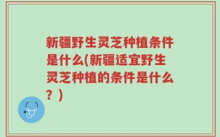 新疆野生灵芝种植条件是什么(新疆适宜野生灵芝种植的条件是什么？)