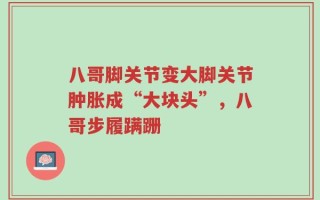 八哥脚关节变大脚关节肿胀成“大块头”，八哥步履蹒跚