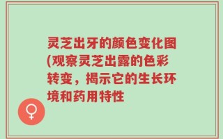 灵芝出牙的颜色变化图(观察灵芝出露的色彩转变，揭示它的生长环境和药用特性