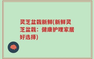 灵芝盆栽新鲜(新鲜灵芝盆栽：健康护理家居好选择)