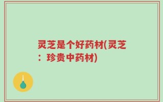 灵芝是个好药材(灵芝：珍贵中药材)
