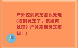 户外挖到灵芝怎么处理(挖到灵芝了，该如何处理？户外采摘灵芝须知！)