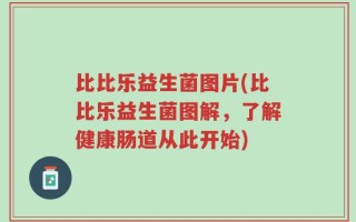 比比乐益生菌图片(比比乐益生菌图解，了解健康肠道从此开始)