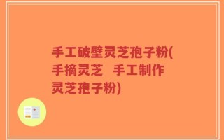 手工破壁灵芝孢子粉(手摘灵芝  手工制作灵芝孢子粉)