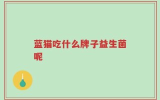 蓝猫吃什么牌子益生菌呢